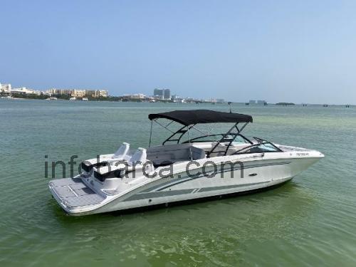 Sea Ray 290 Sundeck recensioni e scheda tecnica